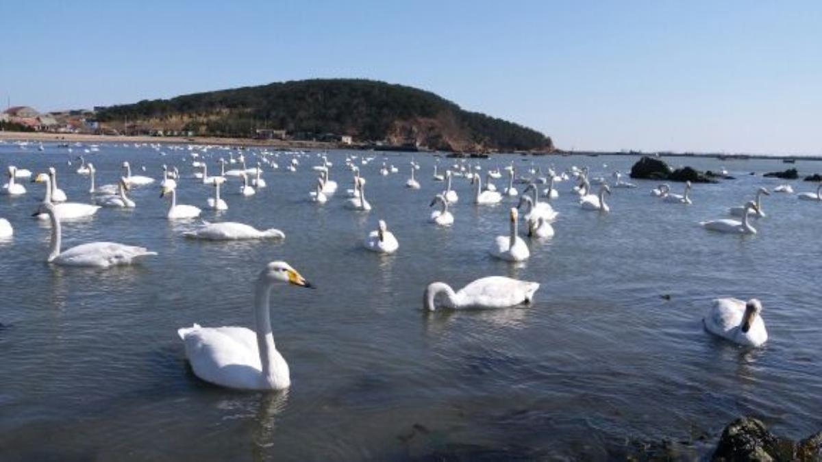 北京出发山东4日自驾游：烟墩角-那香海国际旅游度假区-青州古城4日自驾游自驾游
