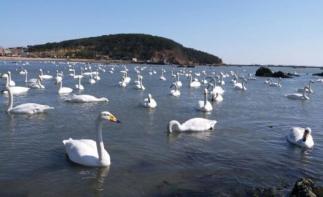 北京出发山东4日自驾游：烟墩角-那香海国际旅游度假区-青州古城4日自驾游自驾游