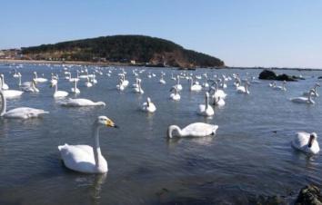 北京出發(fā)山東4日自駕游：煙墩角-那香海國際旅游度假區(qū)-青州古城4日自駕游-游推薦