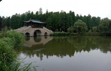 北京出發(fā)江蘇浙江7日自駕游：李中水上森林公園-超山-西塘-杭州7日自駕游-游推薦