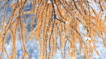 成都出发理县2日自驾：毕棚沟-甘堡藏寨-古尔沟温泉2日自驾-推荐