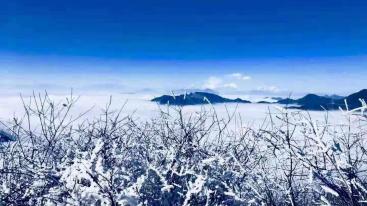 成都出发雅安3日自驾：轿顶山看云海-草科温泉-巴旺海徒步洗肺3日自驾-推荐