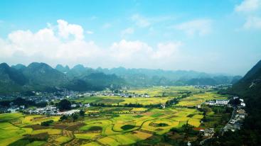 成都出发贵州5日自驾：晴隆24拐-兴义万峰林-紫云格凸河5日自驾游-推荐