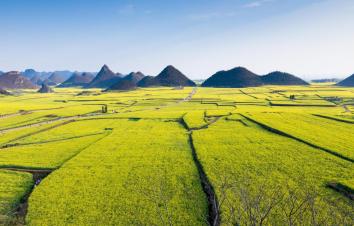 成都出发云南7日摄影：罗平油菜花-坝美-普者黑-元阳梯田-建水7日摄影旅拍-游推荐