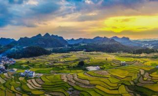 重庆到罗平5日自驾游：罗平油菜花-抚仙湖-滇池-万峰林-昆明石林-官渡古镇5日自驾游自驾游