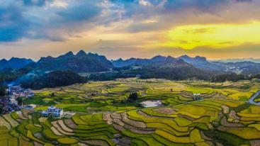 重庆到罗平5日自驾游：罗平油菜花-抚仙湖-滇池-万峰林-昆明石林-官渡古镇5日自驾游-推荐