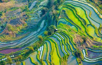 重庆到元阳梯田6日自驾游：弥勒寺-抚仙湖禄充-碧色寨-罗平油菜花-建水古城-朱家花园6日自驾游-游推荐