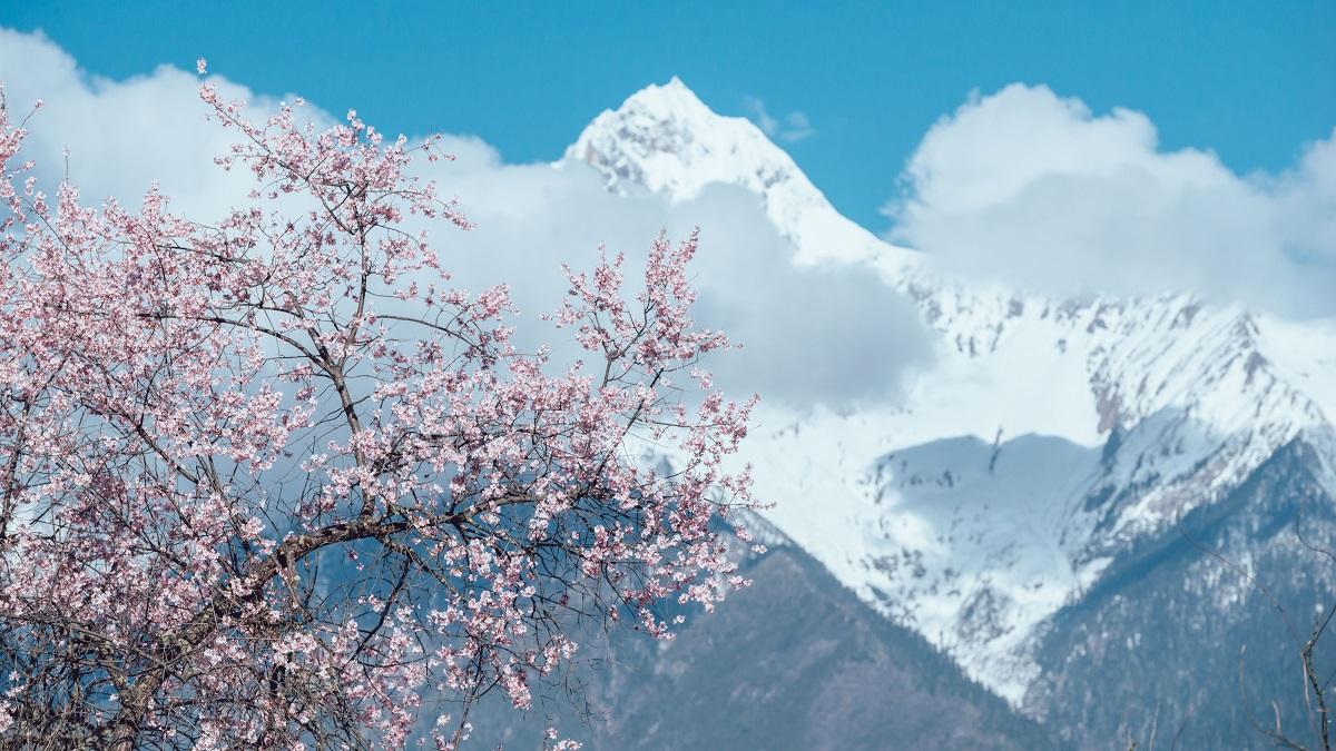 成都出发看林芝桃花14日自驾：桃花沟-泸定桥-然乌湖-羊湖-布宫-大昭寺-纳木错-塔尔寺-西宁14日自驾游