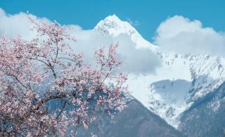 成都出發(fā)看林芝桃花14日自駕：桃花溝-瀘定橋-然烏湖-羊湖-布宮-大昭寺-納木錯(cuò)-塔爾寺-西寧14日自駕游