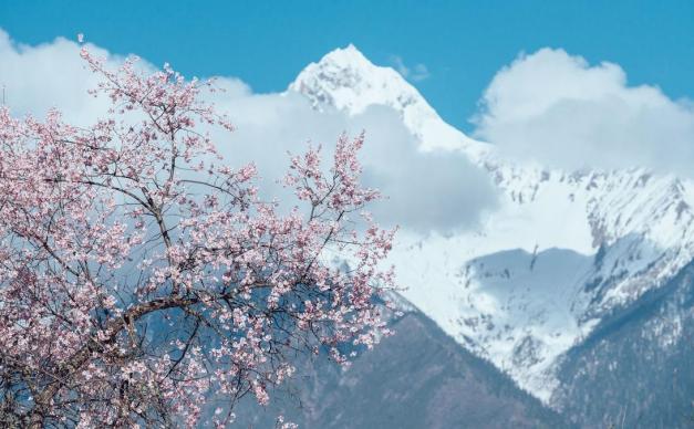 成都出发看林芝桃花14日自驾：桃花沟-泸定桥-然乌湖-羊湖-布宫-大昭寺-纳木错-塔尔寺-西宁14日自驾（经济）