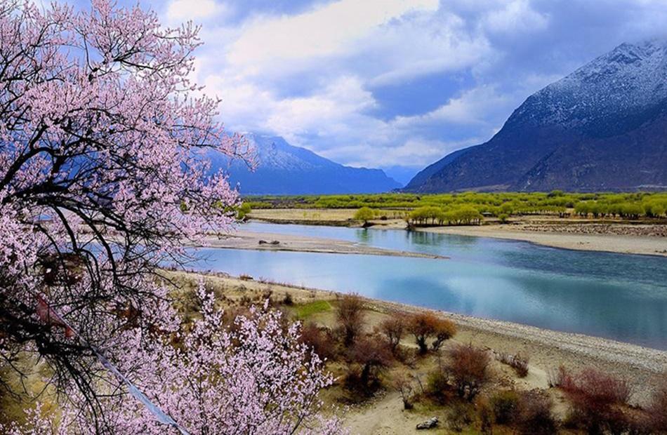 成都集合西藏桃花节14日自驾游：【桃花缘记】川藏线318-来古冰川-林芝-拉萨-青藏线14日自驾游