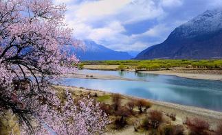 成都集合西藏桃花節(jié)14日自駕游：【桃花緣記】川藏線318-來(lái)古冰川-林芝-拉薩-青藏線14日自駕游