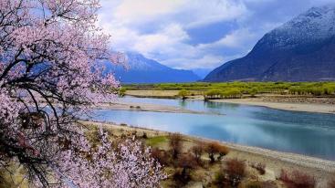 成都集合西藏桃花节14日自驾游：【桃花缘记】川藏线318-来古冰川-林芝-拉萨-青藏线14日-推荐