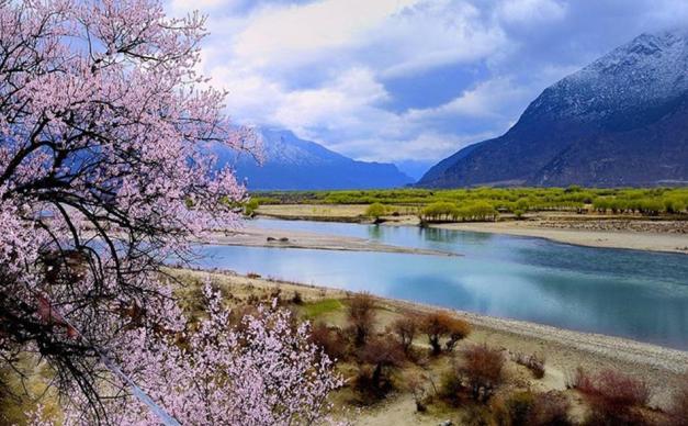 成都出发西藏桃花节自驾游9-14天：雅鲁藏布大峡谷-索松村桃花谷-波密桃花沟-丁真的家乡理塘