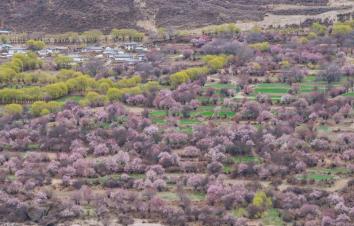 北京出发西藏26日自驾游：赏桃花-秘境墨脱-珠峰-羊卓雍措-纳木错26日自驾游-游推荐