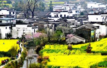 山東出發(fā)自駕江西婺源賞花5日游：婺源-天柱山-三河古鎮(zhèn)-壽縣古城婺源深度游-游推薦