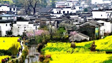 山东出发自驾江西婺源赏花5日游：婺源-天柱山-三河古镇-寿县古城婺源深度游-推荐