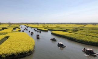 北京出發(fā)江蘇5日自駕游：李中水上森林公園-千垛景區(qū)-揚州-臺兒莊5日自駕游自駕游