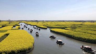 北京出发江苏5日自驾游：李中水上森林公园-千垛景区-扬州-台儿庄5日自驾游-推荐