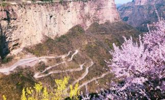辉县集合南太行挂壁公路-封丘油菜花海-开封4日3晚自驾游，畅游太行之巅、黄河之滨自驾游