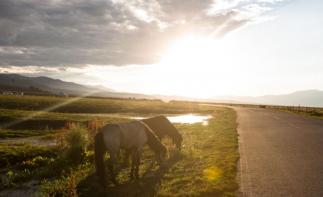 成都出發(fā)川西小環(huán)線3日自駕：甲居藏寨-墨石公園-新都橋3日自駕自駕游