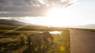 成都出发川西小环线3日自驾：甲居藏寨-墨石公园-新都桥3日自驾-推荐
