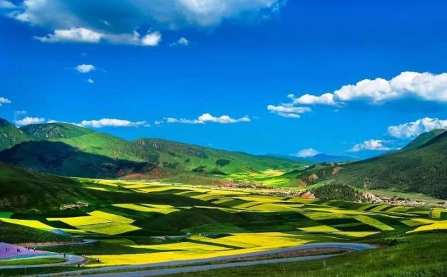 西宁集结青之海6日游：门源油菜花海-七彩丹霞-祁连大草原-冰沟林海-茶卡盐湖-青海湖-塔尔寺大西北6日自驾游