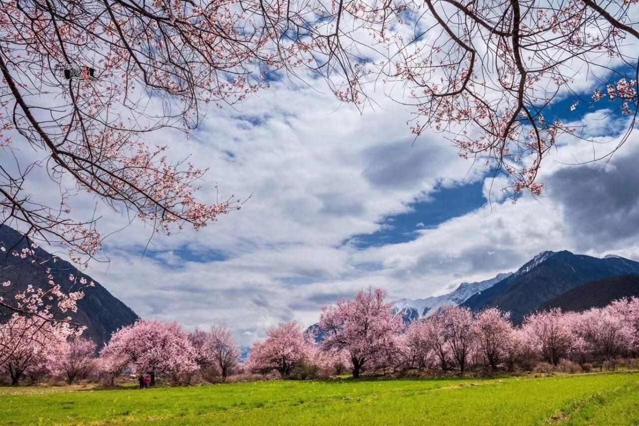 4-10月川藏进青藏出13日西藏自驾游：新都桥-世界高城理塘-勒通古镇-林芝-拉萨-羊湖-纳木措-翡自驾游