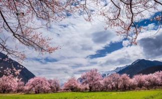 4-10月川藏進(jìn)青藏出13日西藏自駕游：新都橋-世界高城理塘-勒通古鎮(zhèn)-林芝-拉薩-羊湖-納木措-翡自駕游