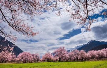 4-10月川藏进青藏出13日西藏自驾游：新都桥-世界高城理塘-勒通古镇-林芝-拉萨-羊湖-纳木措-翡-游推荐