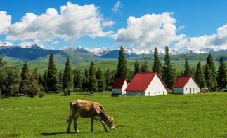 【緣起伊犁】七日落地自駕：獨(dú)山子大峽谷-賽里木湖-伊寧-那拉提-蓮海世界-葡萄溝七日自駕游自駕游