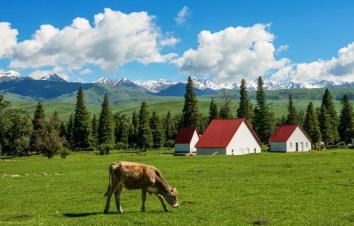 【缘起伊犁】七日落地自驾：独山子大峡谷-赛里木湖-伊宁-那拉提-莲海世界-葡萄沟七日自驾游-游推荐