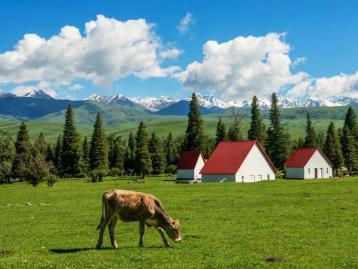 【緣起伊犁】七日落地自駕：獨(dú)山子大峽谷-賽里木湖-伊寧-那拉提-蓮海世界-葡萄溝七日自駕游