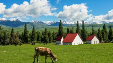 【缘起伊犁】七日落地自驾：独山子大峡谷-赛里木湖-伊宁-那拉提-莲海世界-葡萄沟七日自驾游-推荐