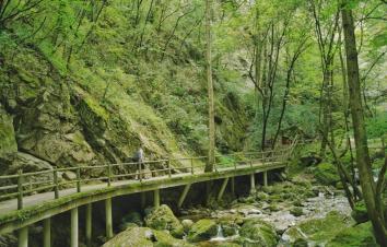 宁夏银川出发4日自驾：牛背梁、柞水溶洞、陈炉古镇、终南山寨、袁家村4日自驾游-游推荐