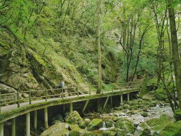 寧夏銀川出發(fā)4日自駕：牛背梁、柞水溶洞、陳爐古鎮(zhèn)、終南山寨、袁家村4日自駕游