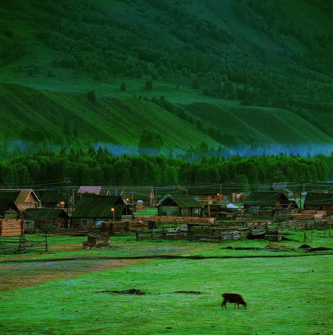 北疆七日落地自驾：天山天池-可可托海-禾木-喀纳斯-伊雷木湖七日落地自驾自驾游