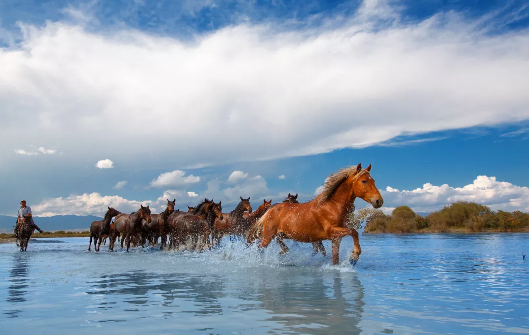北疆伊犁全景12日落地自驾游：可可托海-喀纳斯-禾木-赛里木湖-喀拉峻大草原 -伊昭公路-夏塔古道-自驾游
