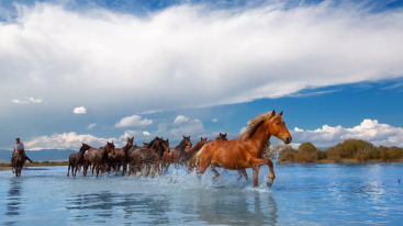北疆伊犁全景12日落地自驾游：可可托海-喀纳斯-禾木-赛里木湖-喀拉峻大草原 -伊昭公路-夏塔古道--推荐