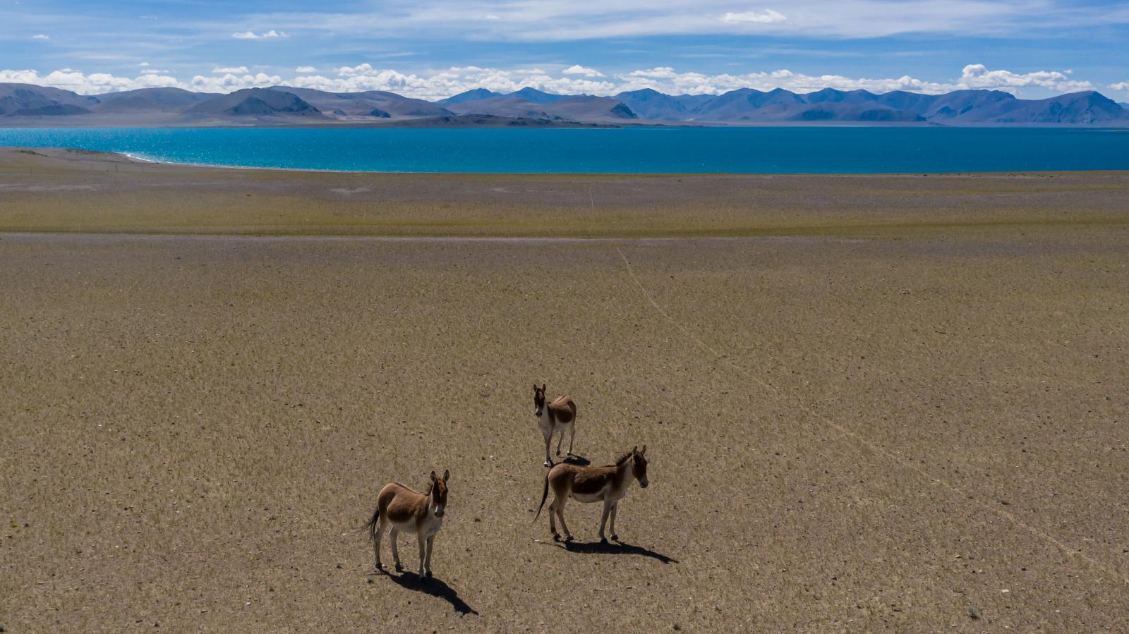 拉萨出发11日行摄自驾：喜马拉雅以南｜越野｜洛扎｜亚东｜岗巴｜珠峰｜吉隆沟｜拉萨集结11日落地自驾自驾游
