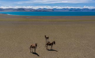 拉薩出發(fā)11日行攝自駕：喜馬拉雅以南｜越野｜洛扎｜亞東｜崗巴｜珠峰｜吉隆溝｜拉薩集結11日落地自駕自駕游
