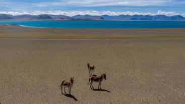 拉萨出发11日行摄自驾：喜马拉雅以南｜越野｜洛扎｜亚东｜岗巴｜珠峰｜吉隆沟｜拉萨集结11日落地自驾-推荐