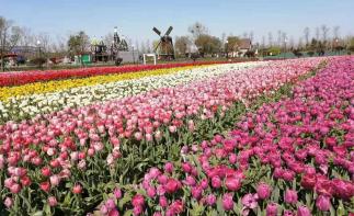 北京出發(fā)蘇州山東7日自駕游：壓油溝-蘇州國際博覽中心-高郵湖-荷蘭花海7日自駕游自駕游