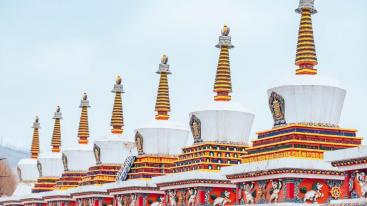 成都出发丝绸之路11日自驾：青海湖-敦煌莫高窟-嘉峪关城楼-张掖七彩丹霞-塔尔寺 11日自驾游-推荐