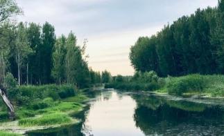 北京周邊2日自駕游：白洋淀-勝芳古鎮(zhèn)-采摘龐各莊西瓜河北2日自駕游自駕游