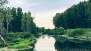 北京周边2日自驾游：白洋淀-胜芳古镇-采摘庞各庄西瓜河北2日自驾游-推荐