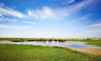 北京出發(fā)內(nèi)蒙7日自駕游：黑風(fēng)河0達(dá)里湖-熱阿線-石林-塞罕壩-玉龍沙湖7日自駕游自駕游