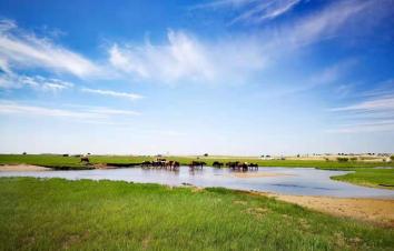 北京出发内蒙7日自驾游：黑风河0达里湖-热阿线-石林-塞罕坝-玉龙沙湖7日自驾游-游推荐