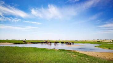 北京出发内蒙7日自驾游：黑风河0达里湖-热阿线-石林-塞罕坝-玉龙沙湖7日自驾游-推荐