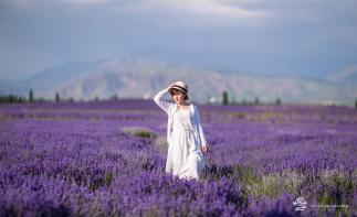 烏魯木齊出發(fā)新疆落地包車深度旅拍8日游：巴音布魯克-那拉提-霍城薰衣草-獨庫公路8日包車游自駕游